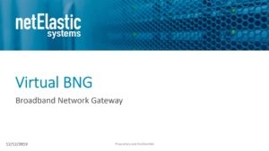 netElastic vBNG Overview